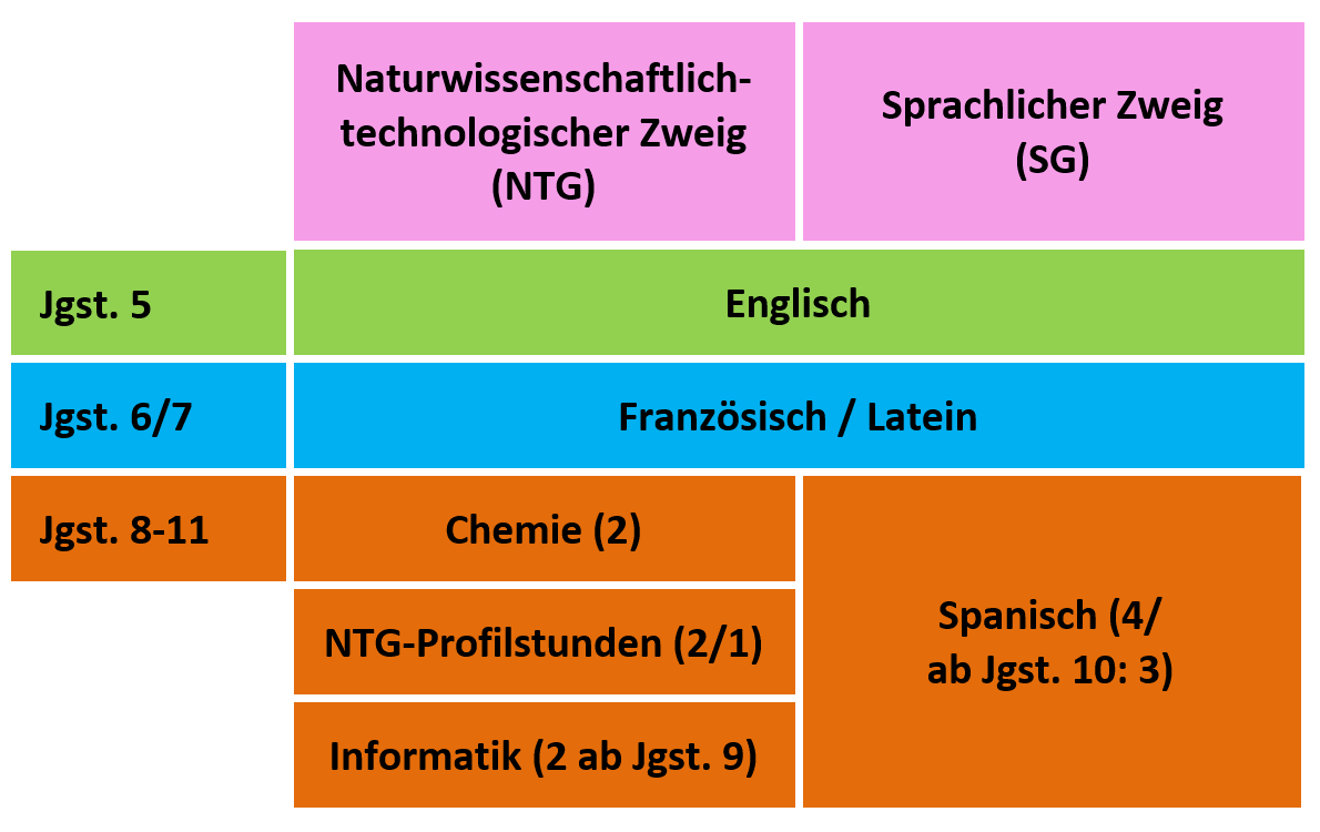 Ausbildungsrichtungen